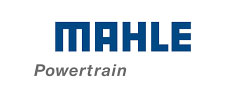http://nextgen-marine.com/media/images/mahle-powertrain-logo.jpg
